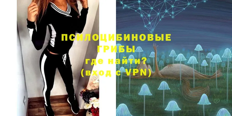 Псилоцибиновые грибы мухоморы  Кстово 